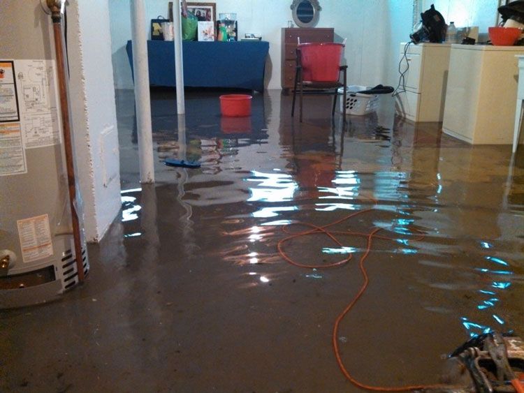 When disaster happen learn how to dray carpets after flooding.jpg