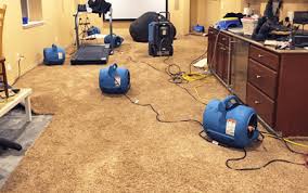 learn how to dry carpets after flood-fans  drying wet floor